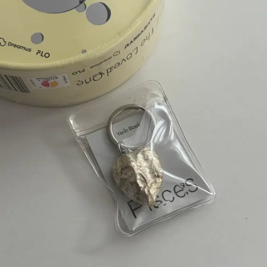 [BUNJANG] Baek Yerin 물고기 Album (Keyring Included) / 백예린 물고기 앨범 미개봉 (키링 포함)