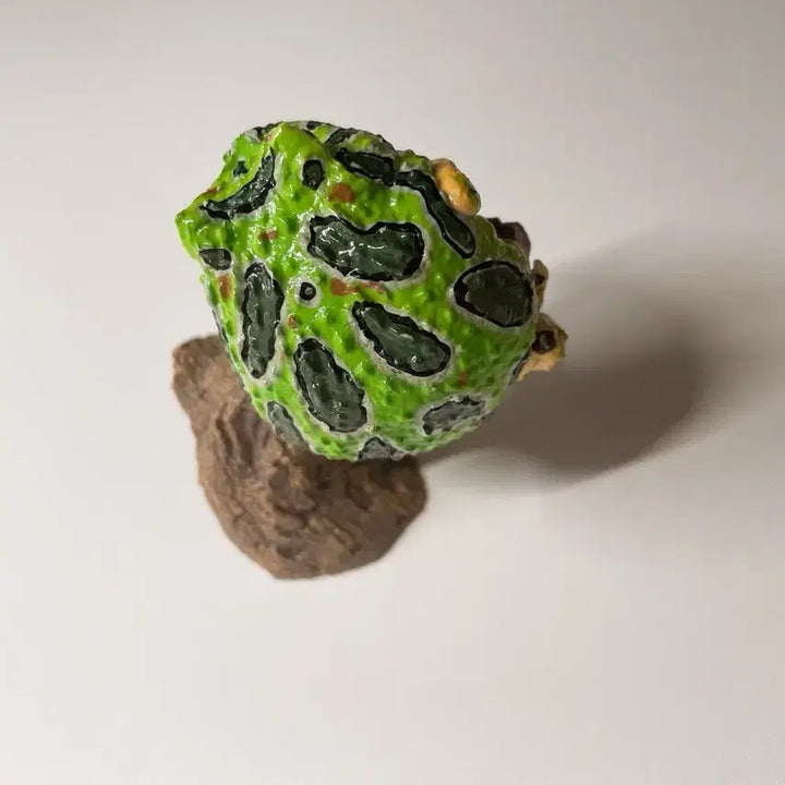 [BUNJANG] Bandai Finger Puppet Collection Pacman Frog Green / 반다이 생물대도감 손가락 위 컬렉션 가챠 팩맨개구리 그린
