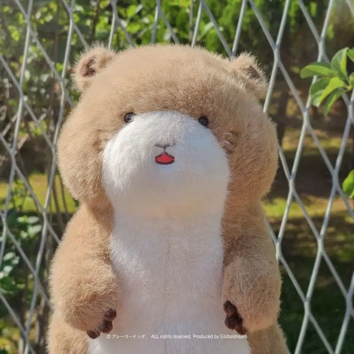 [BUNJANG] Prairie Dog 28cm Doll Brown / 프레리도쿠 28cm 인형 브라운