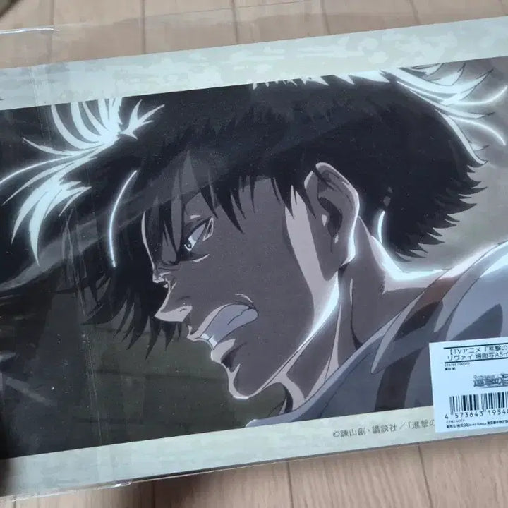 [BUNJANG] Levi A5 Illustration Card / 리바이 A5 일러스트 카드