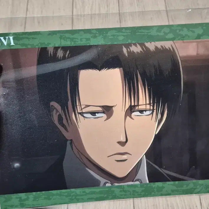 [BUNJANG] Levi A5 Illustration Card / 리바이 A5 일러스트 카드