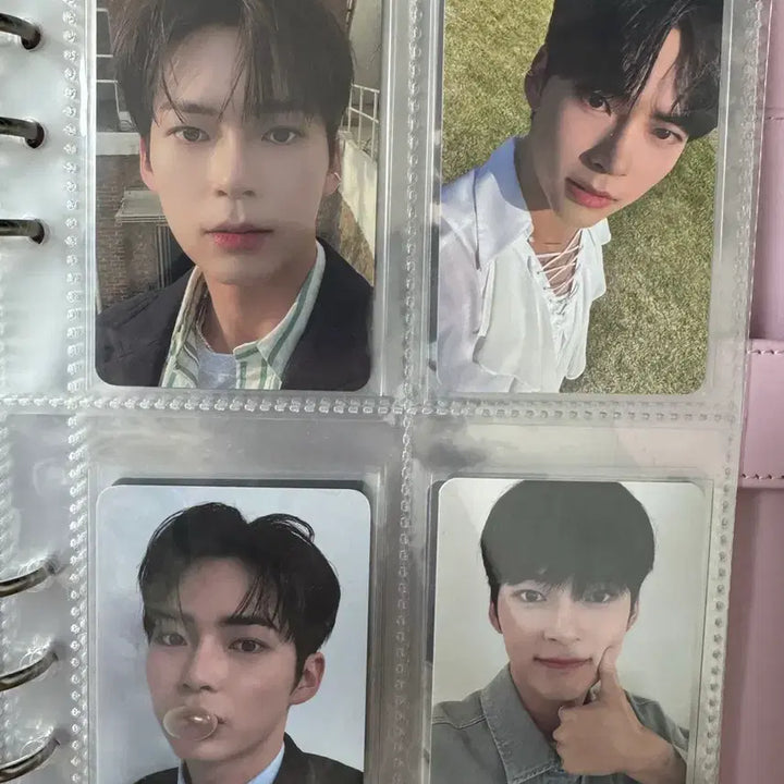 [SOLD OUT] 제로베이스원 포카 일괄 판매 굿즈 비공굿