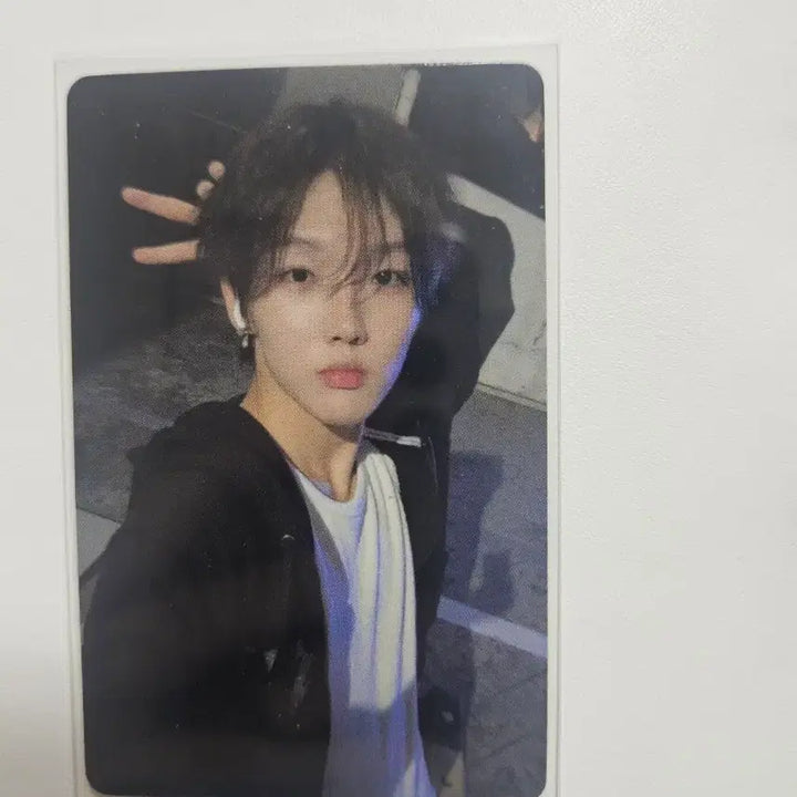 [BUNJANG] MODISSEY XUESHUN Fanmeeting Photocard / 모디세이 쉬에수런 팬미팅 입장 포카