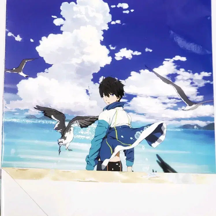 [BUNJANG] High Speed! Anime Plus Shopping Bag &amp; Flyer Set / free! 프리 하이스피드 애니플러스 쇼핑백 &amp; 전단지