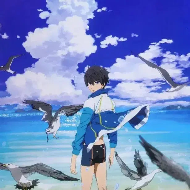 [BUNJANG] High Speed! Anime Plus Shopping Bag &amp; Flyer Set / free! 프리 하이스피드 애니플러스 쇼핑백 &amp; 전단지