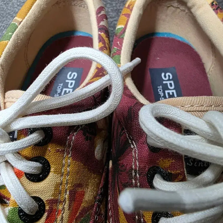 [BUNJANG] Sperry Top-Sider Palm Tree Canvas Sneakers / [260] 스페리 탑사이더 야자수 패턴 캔버스화 스니커즈