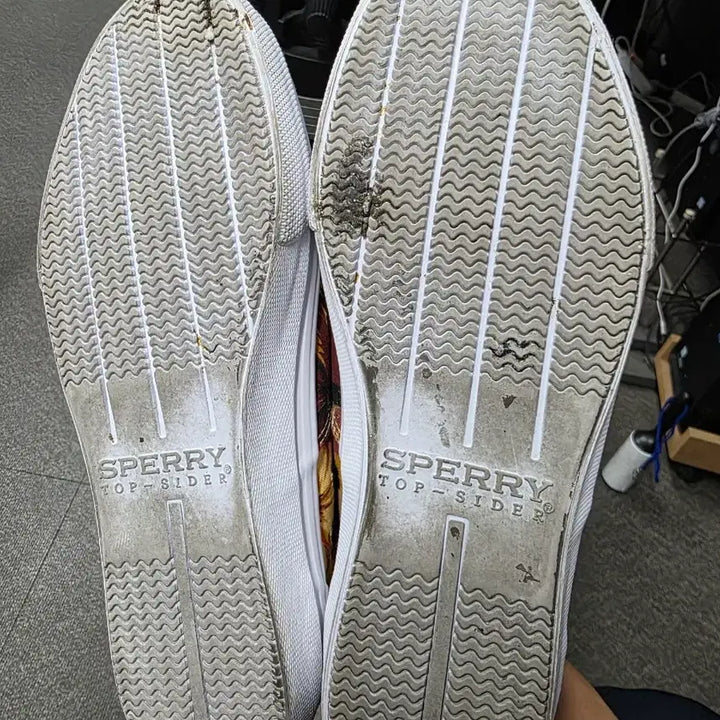 [BUNJANG] Sperry Top-Sider Palm Tree Canvas Sneakers / [260] 스페리 탑사이더 야자수 패턴 캔버스화 스니커즈