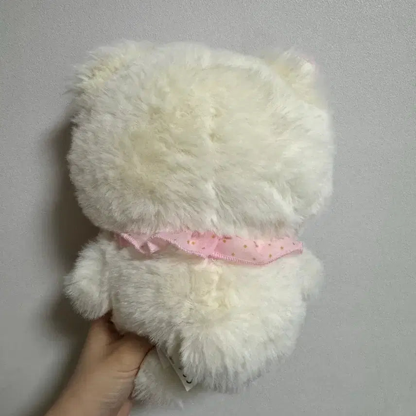 [BUNJANG] Hello Kitty Limited Edition Teddy Bear Plush / 헬로키티 한정판 테디베어 인형