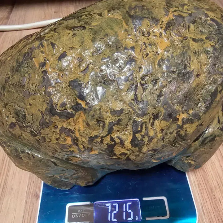 [BUNJANG] Stromatolite Turtle Sculpture / 경산 스트로마톨라이트 거북이