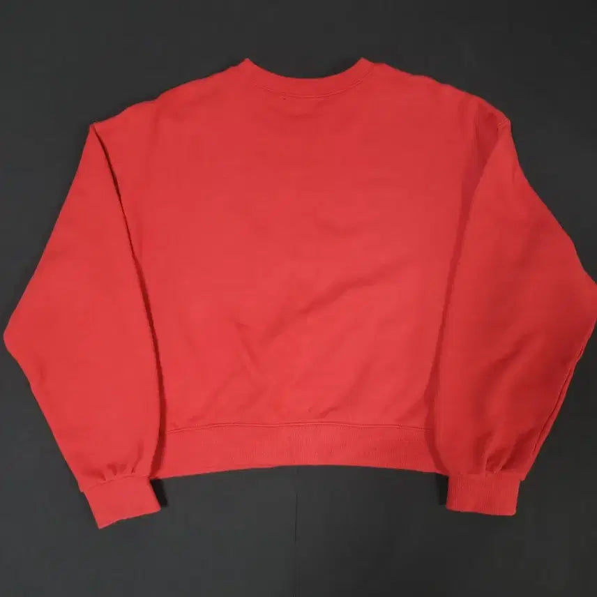 [BUNJANG] BITTER CELS Heart Balloon Sweatshirt / BITTER CELS 맨투맨 하트벌룬 스웻 셔츠