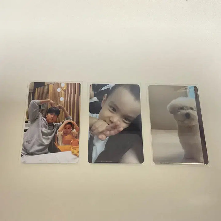 [BUNJANG] Yujin Photocard Bundle Set / 유준이 포카