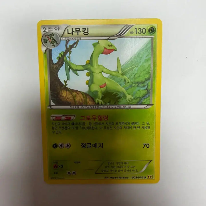 [BUNJANG] Pokemon Treecko Card / 나무킹 포켓몬카드
