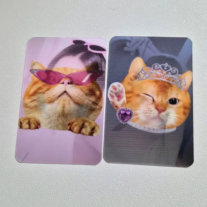[BUNJANG] IVE Yujin Lenticular Photocard Bundle Set / 아이브 유진 렌티큘러 포카 2개일괄