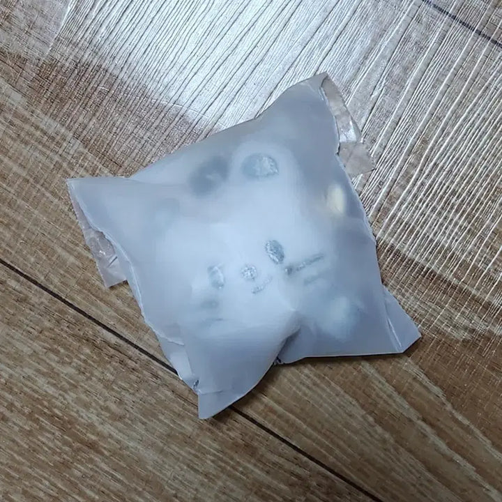 [BUNJANG] Stray Kids Hyunjin Silver Face Keyring / 스키즈 지니렛 현진 실버 페이스 키링 팝업