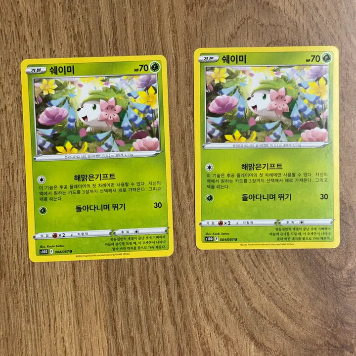 [BUNJANG] Pokemon Shaymin Card / 포켓몬카드 쉐이미 판매