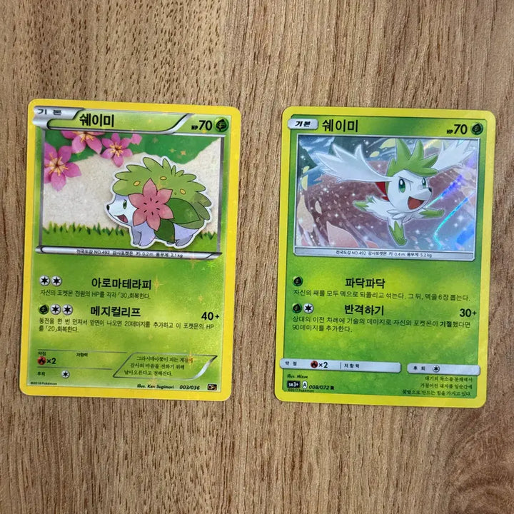 [BUNJANG] Pokemon Shaymin Card / 포켓몬카드 쉐이미 판매