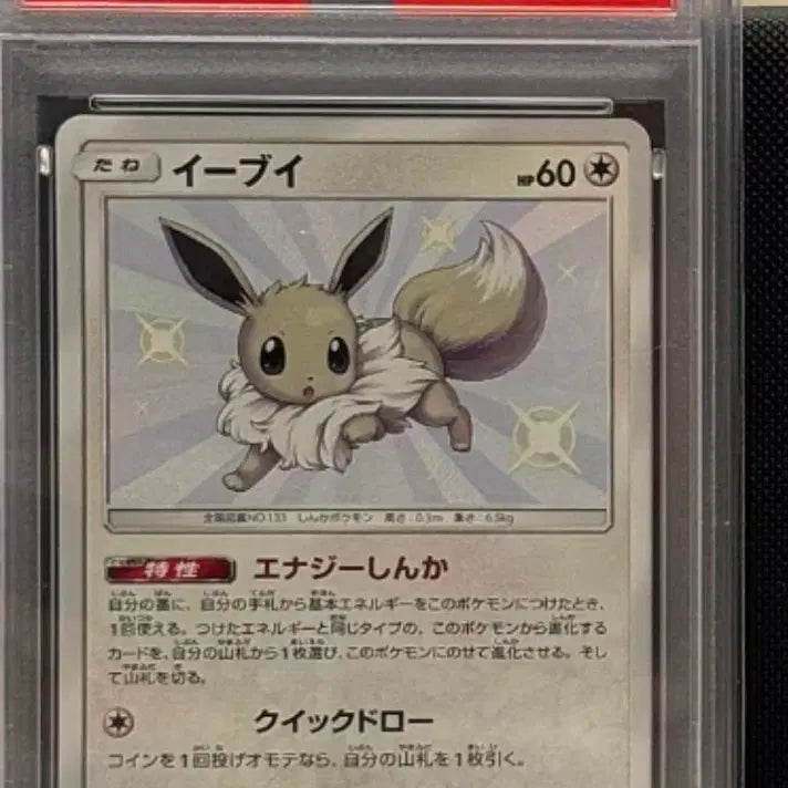 [BUNJANG] Pokemon Card Eevee Shiny PSA 10 / 포켓몬카드 이브이 이로치s psa10