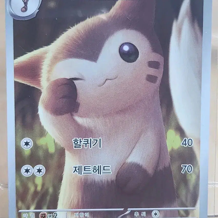 [SOLD OUT] 포켓몬 카드 다꼬리 AR
