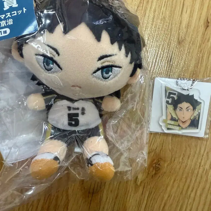 [BUNJANG] Haikyuu Akaashi Doll &amp; Keychain / 하이큐 인형 (아카아시)