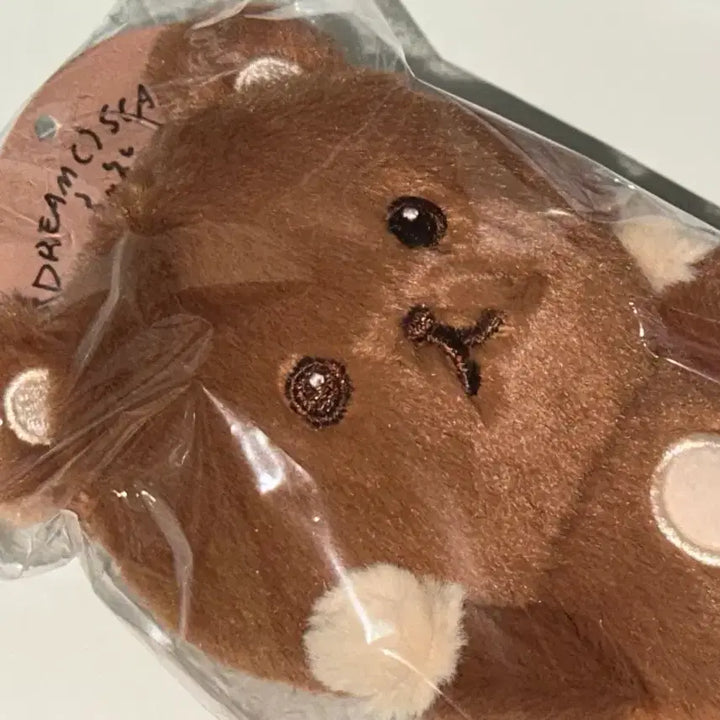 [BUNJANG] NCT Dream Haechan MAGNET DOLL KEY RING (Unsealed) / 단순개봉)엔시티 드림 해찬 꾸미 MAGNET DOLL KEY RING