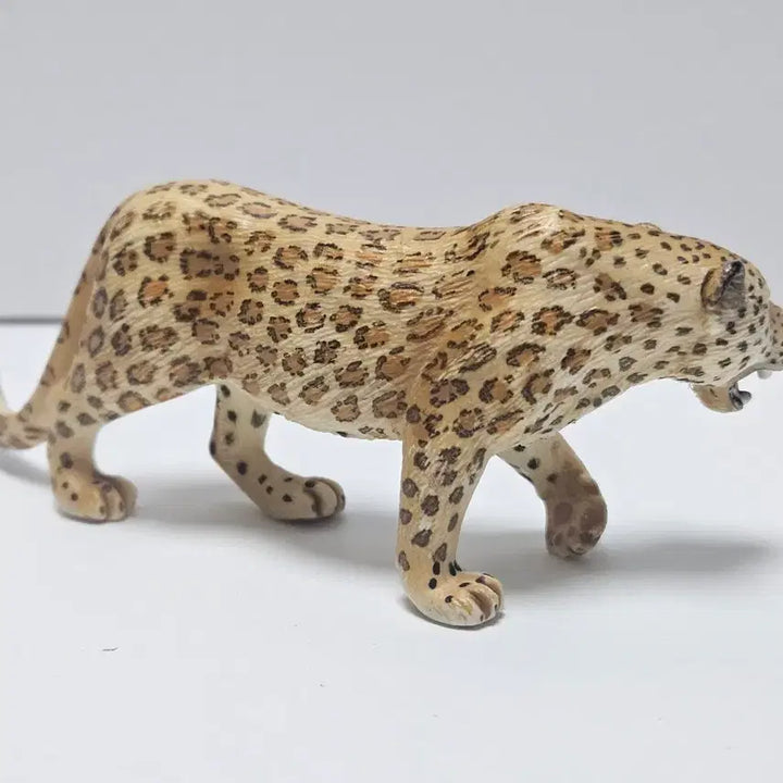 [BUNJANG] Schleich Leopard Figure (2006 Edition) / 슐라이히 표범 피규어 06년판 장식용 동물 생물