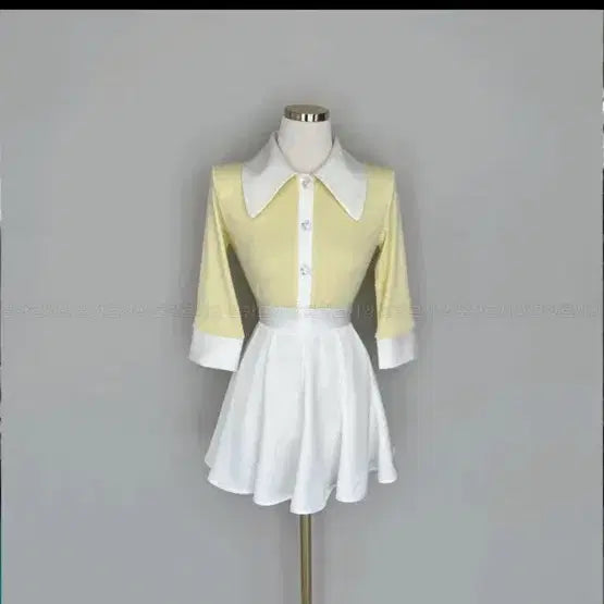 [BUNJANG] Le Ciel Import Silk Satin Flare Mini Skirt / 택ㅇ 르시앙 수입의류 lb 실크 새틴 플레어 미니스커트 s