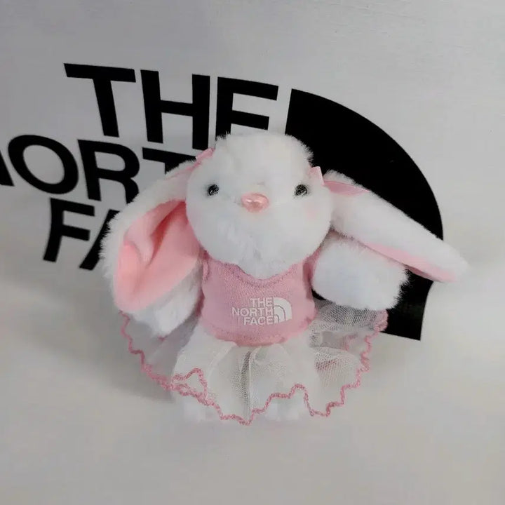 [BUNJANG] The North Face Bunny Ballerina Keyring / 노스페이스 토끼 인형 핑크 발레리나 키링