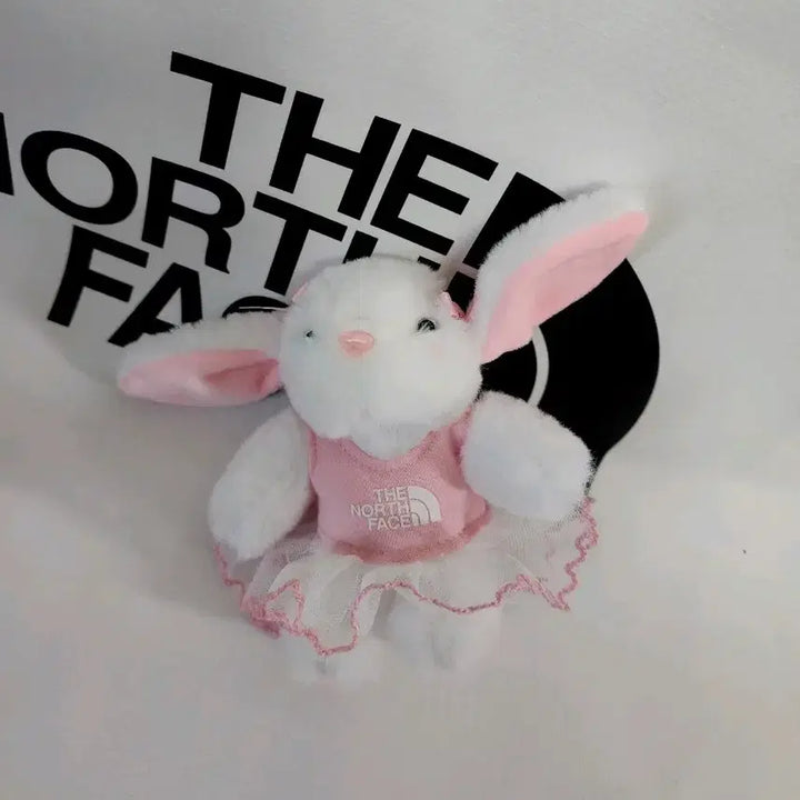 [BUNJANG] The North Face Bunny Ballerina Keyring / 노스페이스 토끼 인형 핑크 발레리나 키링