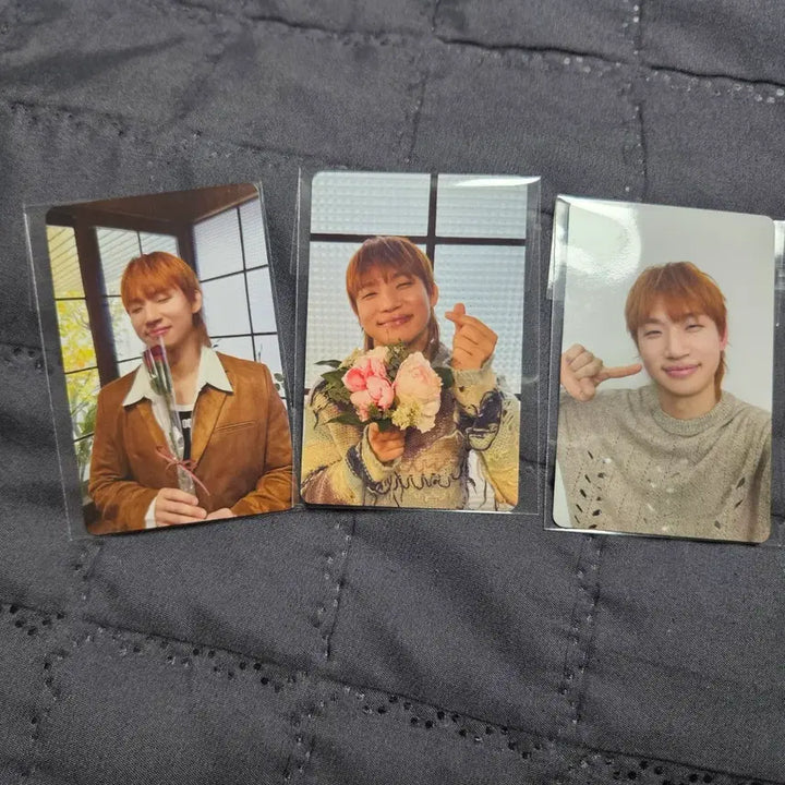 [BUNJANG] BIGBANG DAEUNG Concert Membership Photocard / 대성 콘서트 멤버십 포카 장당 85000