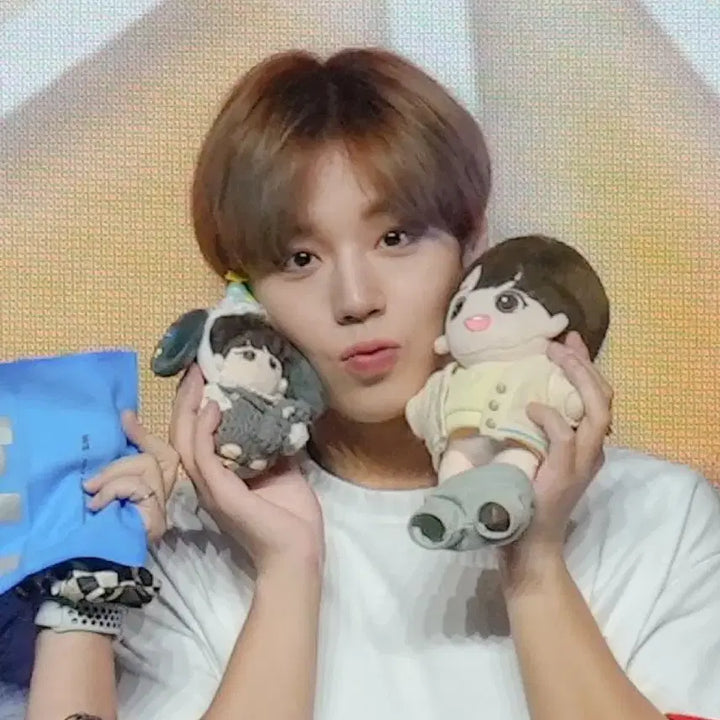 [BUNJANG] Park Jihoon I-Wing 20cm Doll / 박지훈 20cm 인형 아이윙