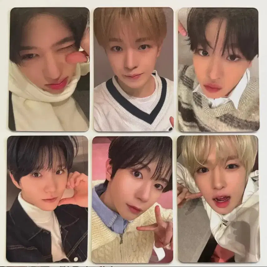 [BUNJANG] NCT WISH Apple Music POB Split Set Sion Riku Yushi Jaehee Ryo Sakuya / 엔시티위시 애플뮤직 미공포 분철 시온 리쿠 유우시 재희 료 사쿠야