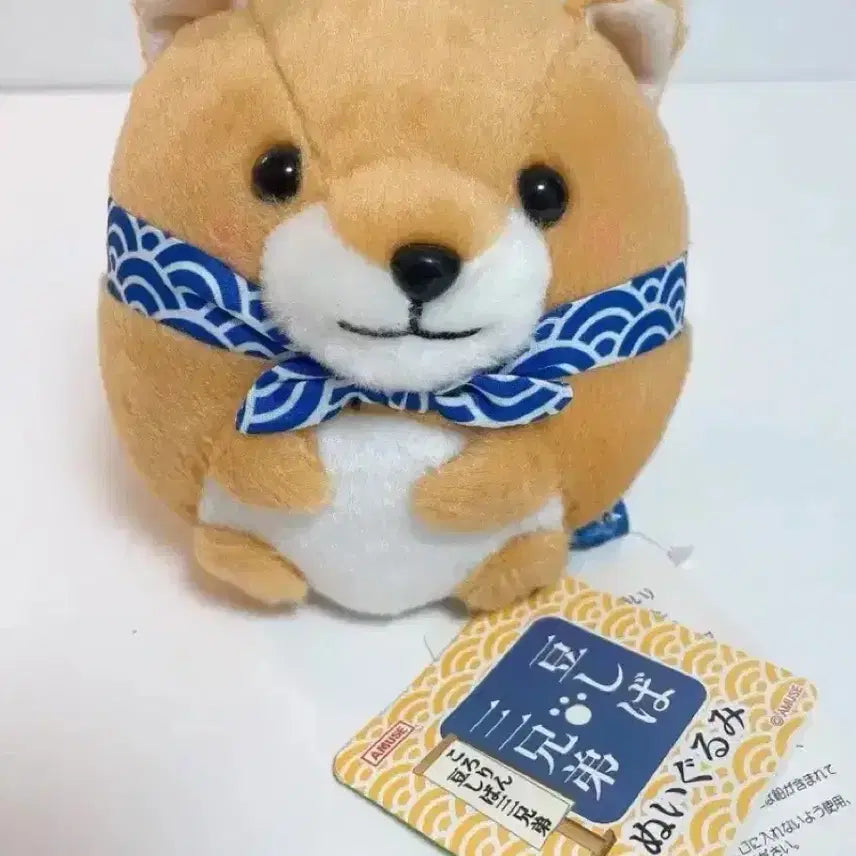 [BUNJANG] Amuse Mameshiba Classic Plush Doll / 일본 정품 어뮤즈 마메시바 데굴데굴 고전 인형