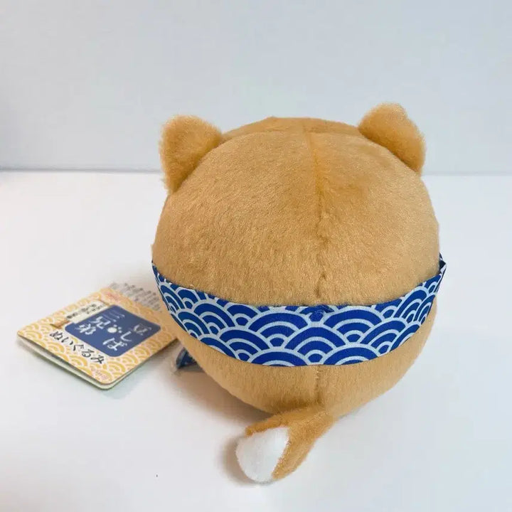 [BUNJANG] Amuse Mameshiba Classic Plush Doll / 일본 정품 어뮤즈 마메시바 데굴데굴 고전 인형
