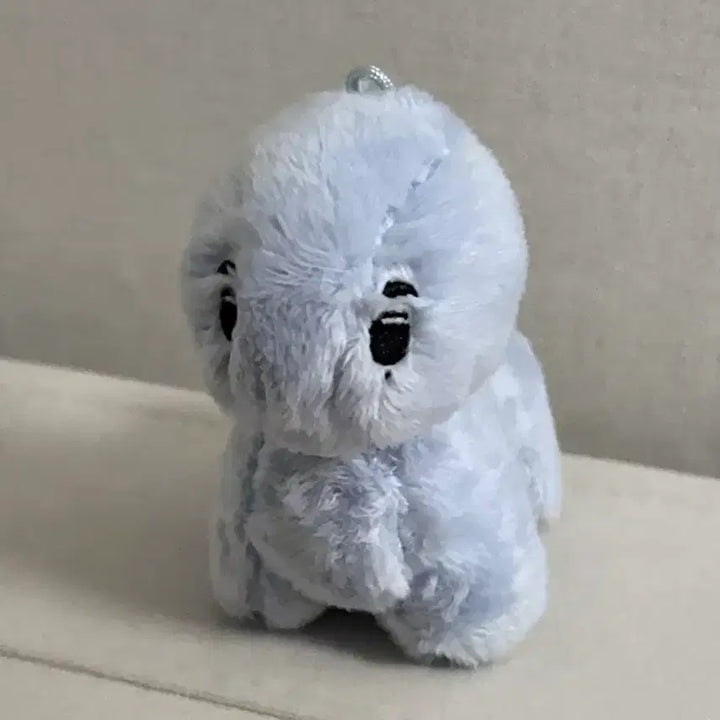 [SOLD OUT] 라이즈 앤톤 인형 앤토뇽 (모자O)