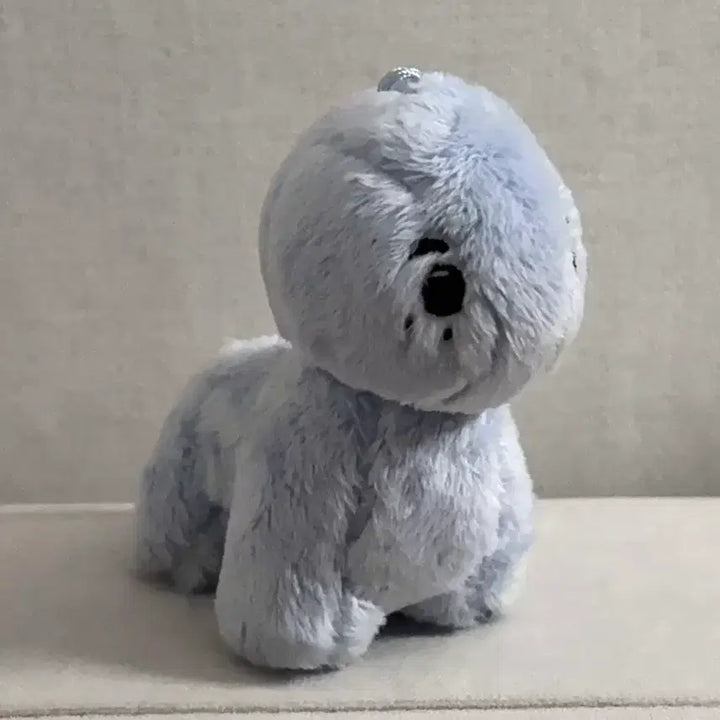 [SOLD OUT] 라이즈 앤톤 인형 앤토뇽 (모자O)