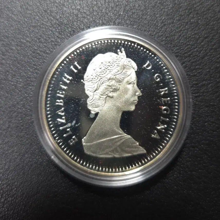 [BUNJANG] 1989 Canada Mackenzie River Rare Silver Coin Collectible / 1989년 캐나다 메젠지강은화 희귀은화수집용