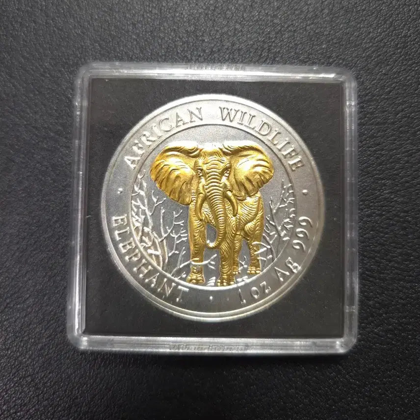 [BUNJANG] 2004 Somalia Gilded 1000 Shilling Silver Coin / 2004년 소말리아 금도금 1000실링 은화 희귀은화수집용
