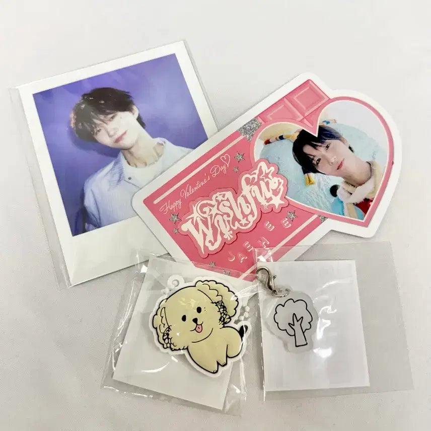 [BUNJANG] NCT WISH Jaehee Polar Signature Release Japan Goods Keychain Random Toy / 엔시티 위시 재희 폴라 시그 릴리즈 로그인 재팬 굿즈 키링 랜덤토이