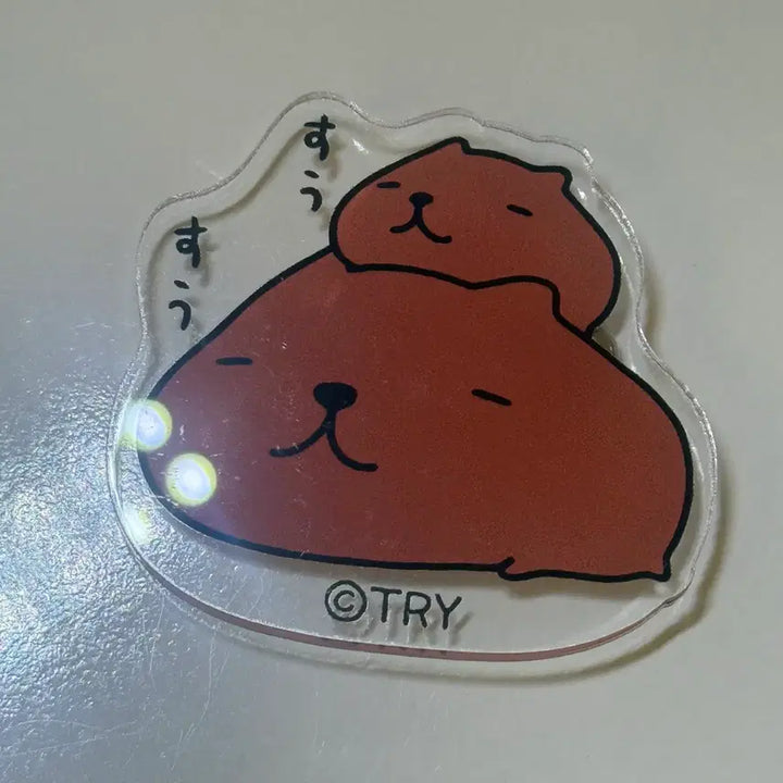 [BUNJANG] Capybara Acrylic Badge Pin Doll Keychain / 카피바라상 카피바라 아크릴 뱃지 핀버튼 인형 키링 양도 판매