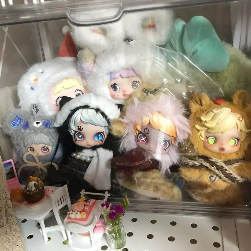 [BUNJANG] Nomi Christmas Edition Card Box Set / (최종할인가) 정품 노미 크리스마스 카드 박스 풀세트