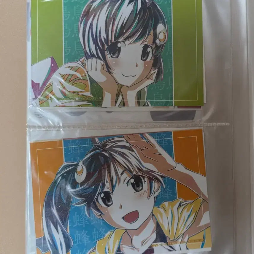 [BUNJANG] Monogatari Series Bromide Bundle Set / 모노가타리 이야기시리즈 브로마이드 바인더 일괄