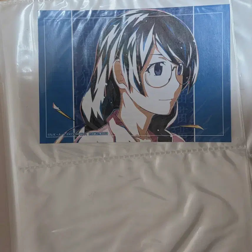 [BUNJANG] Monogatari Series Bromide Bundle Set / 모노가타리 이야기시리즈 브로마이드 바인더 일괄