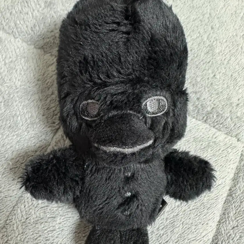[BUNJANG] Ddoelbyongi Fame 10cm Keychain / 똘병이 페임 10cm 키링