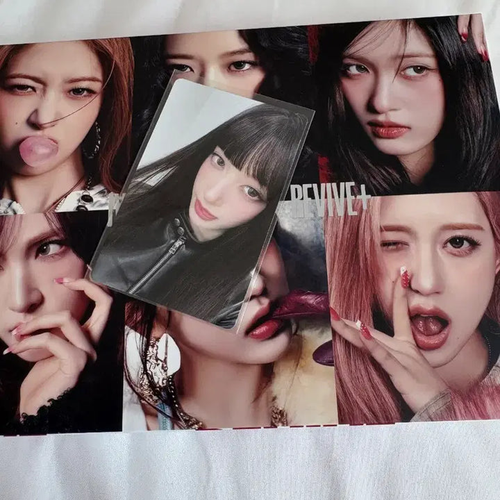 [SOLD OUT] 아이브 리바이브 뮤직코리아