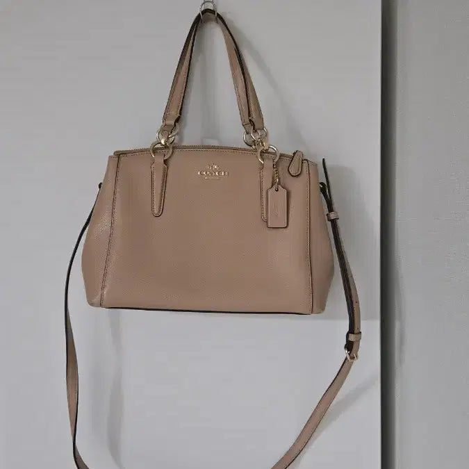 [BUNJANG] Coach Christy Carryall Satchel Bag Nude Beige / 정품 코치 크리스티 캐리올 사첼백 정가30만 누드베이지