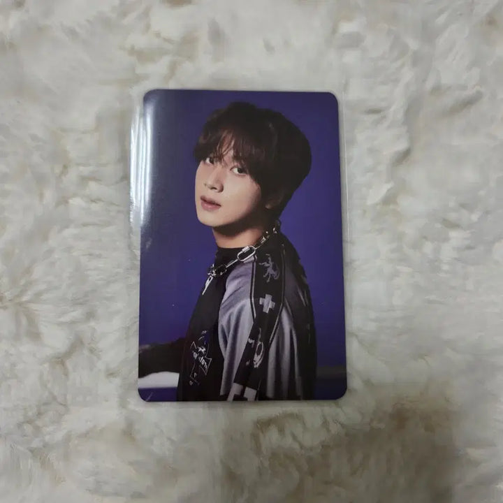 [BUNJANG] NCT 127 Haechan Season&