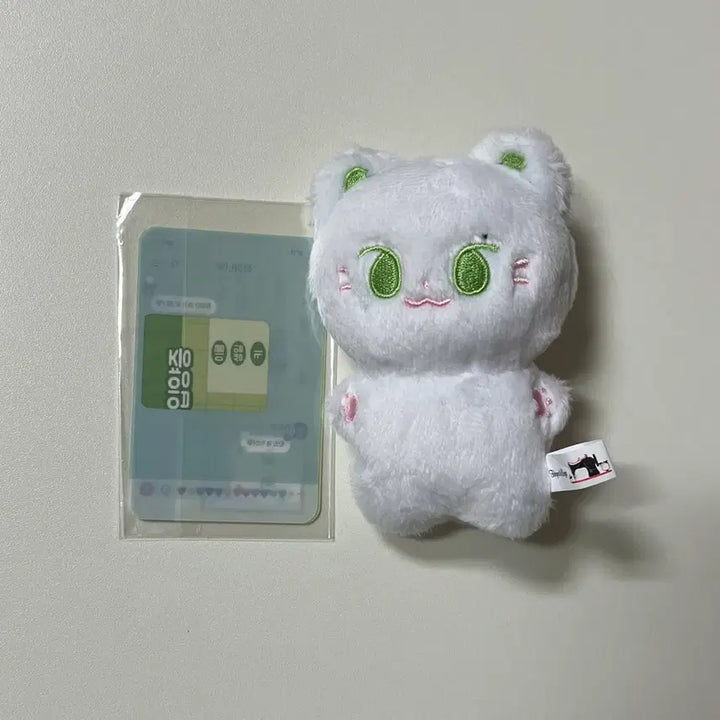 [BUNJANG] Jjeongnyangcat 10cm Lee Jung Hyun Doll / 쩡냥캣 10cm 이븐 이정현 인형