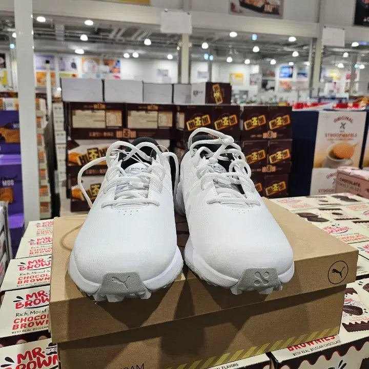 [BUNJANG] Puma FusionFoam Golf Shoes White / 푸마 퓨전폼 골프화 화이트