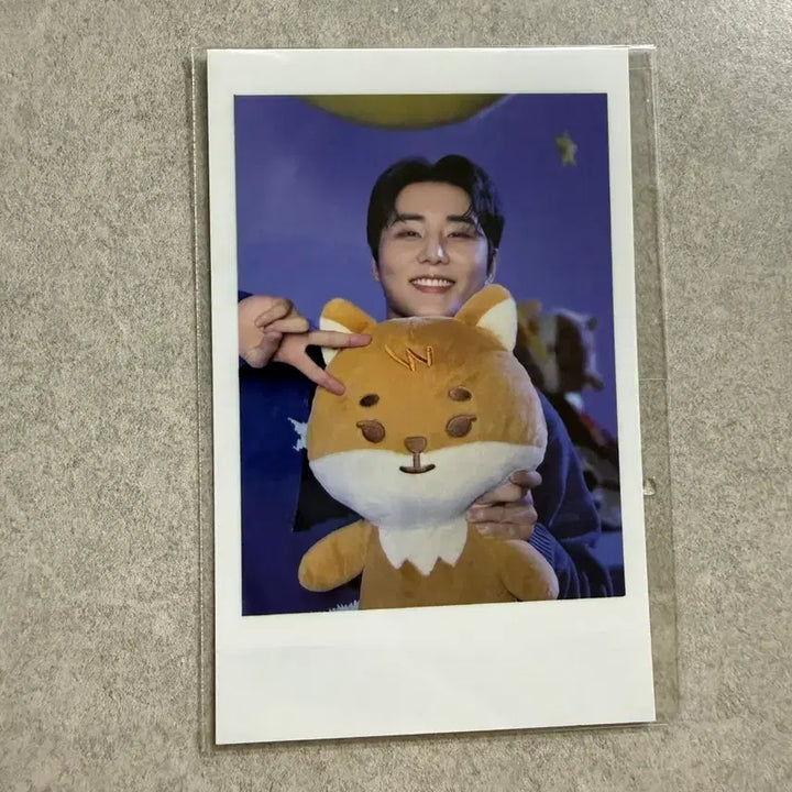 [BUNJANG] Day6 Young K Giant Petti Merch Photocard / 미개봉) 데이식스 자이언트 쁘띠멀즈 KE 영케이 포카 판매