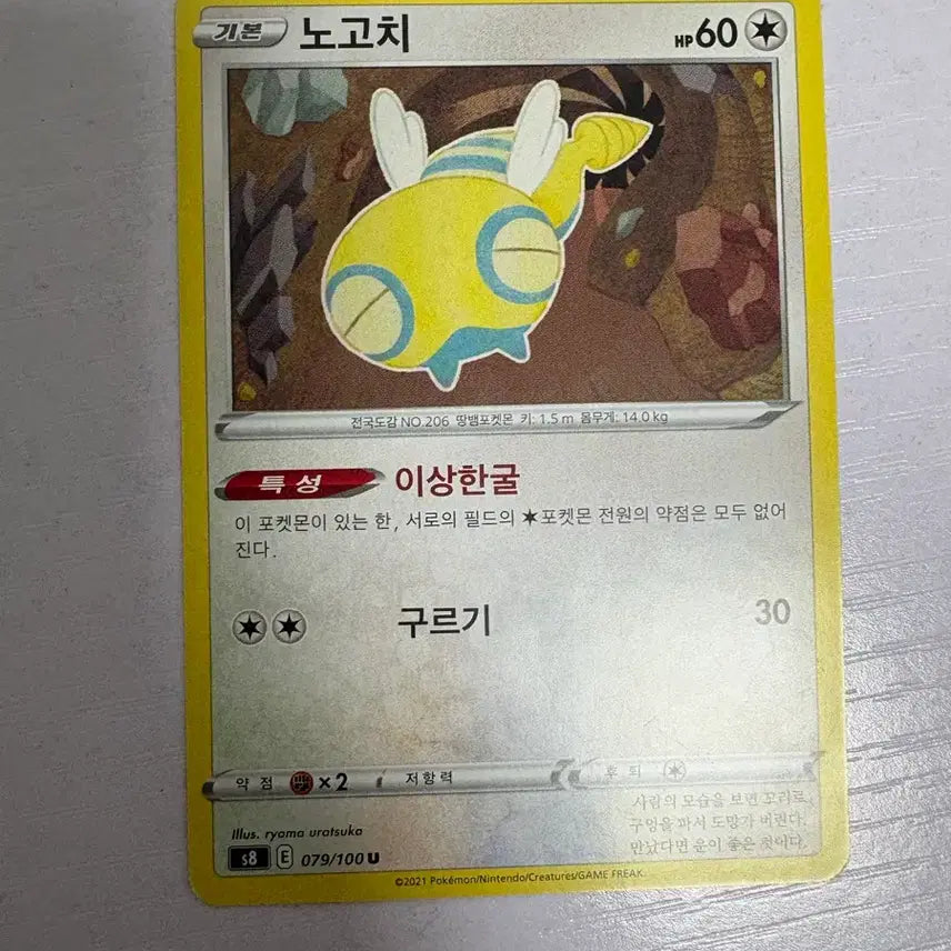 [SOLD OUT] [귀여운 포켓몬 카드] 노고치